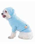 Pet Apparel