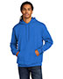 champion s244c